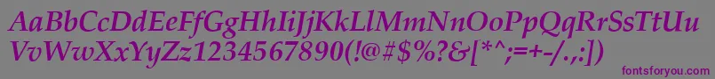 PalladioBolditalic-fontti – violetit fontit harmaalla taustalla
