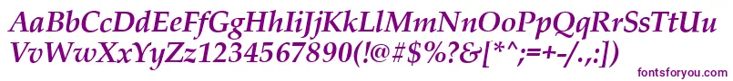 PalladioBolditalic Font – Purple Fonts on White Background