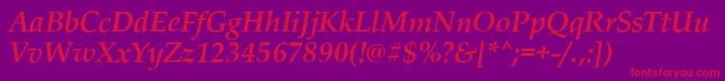 PalladioBolditalic Font – Red Fonts on Purple Background