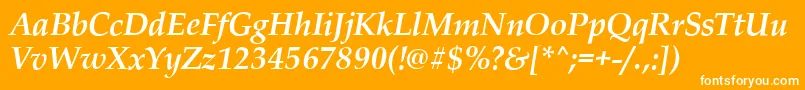PalladioBolditalic Font – White Fonts on Orange Background