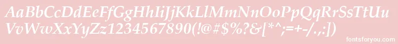 フォントPalladioBolditalic – ピンクの背景に白い文字