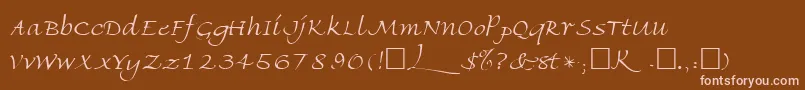 Шрифт FriherrsRegular – розовые шрифты на коричневом фоне