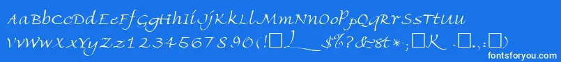 フォントFriherrsRegular – 青い背景に白い文字