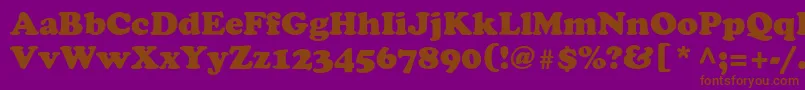 Agcoo5 Font – Brown Fonts on Purple Background