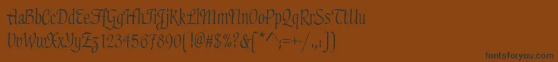 HaydenRegular Font – Black Fonts on Brown Background