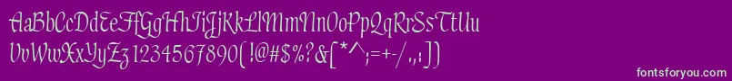 HaydenRegular Font – Green Fonts on Purple Background