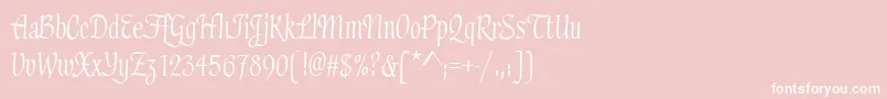 HaydenRegular Font – White Fonts on Pink Background