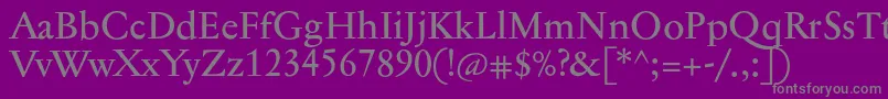 Jannontextmed Font – Gray Fonts on Purple Background