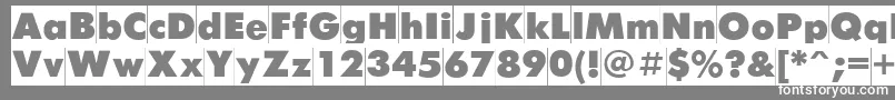 Futurisxcameoctt Font – White Fonts on Gray Background