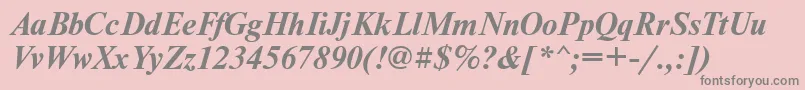 NewtonmaccttBolditalic Font – Gray Fonts on Pink Background