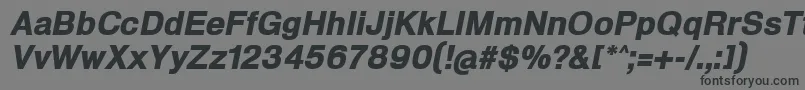 HeldustryftBlackItalic Font – Black Fonts on Gray Background