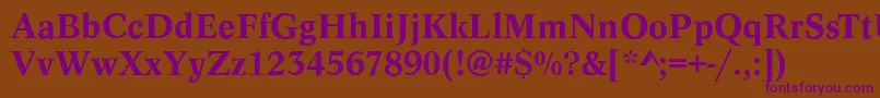 ConceptMedium Font – Purple Fonts on Brown Background