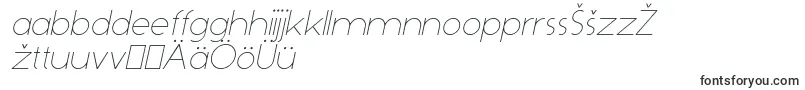 DominikThinItalic Font – Estonian Fonts