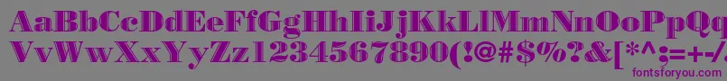 Borjomidecorbc Font – Purple Fonts on Gray Background