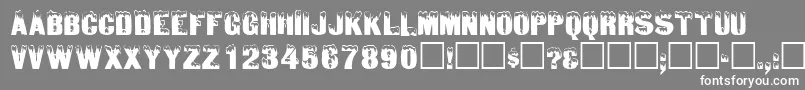IcedisplaycapssskRegular Font – White Fonts on Gray Background