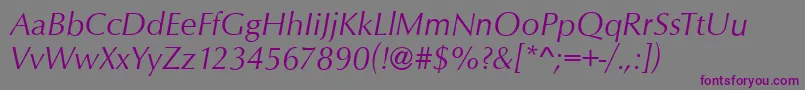 OpusItalic Font – Purple Fonts on Gray Background
