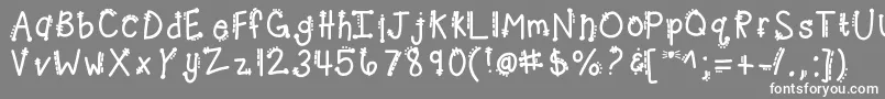 Kbcheetahrita Font – White Fonts on Gray Background