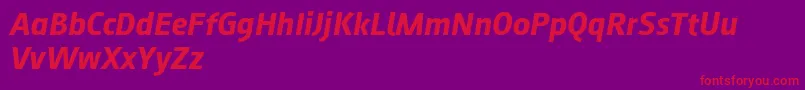 Augustsans76bolditalic-Schriftart – Rote Schriften auf violettem Hintergrund
