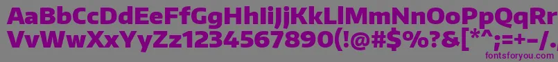 EncodesansBlack Font – Purple Fonts on Gray Background