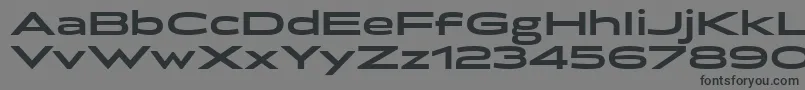 BrillerBold Font – Black Fonts on Gray Background