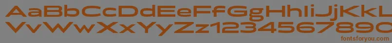 Weitere Informationen zur BrillerBold-Schriftart BrillerBold-Schriftart – Braune Schriften auf grauem Hintergrund