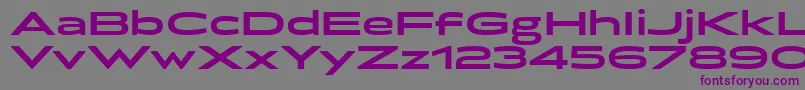 フォントBrillerBold – 紫色のフォント、灰色の背景
