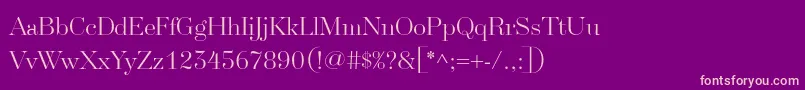 SplendidSerif Font – Pink Fonts on Purple Background