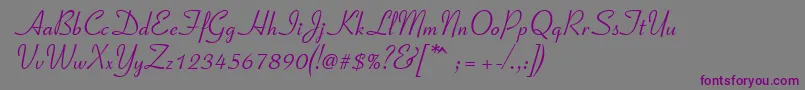 Connecticut Font – Purple Fonts on Gray Background