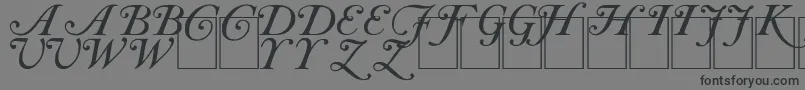 フォントCasInit – 黒い文字の灰色の背景