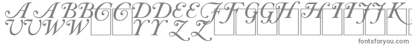 CasInit-fontti – harmaat fontit