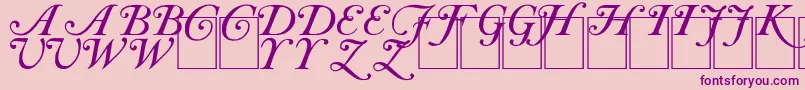 Шрифт CasInit – фиолетовые шрифты на розовом фоне