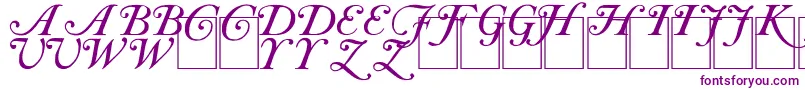 CasInit Font – Purple Fonts