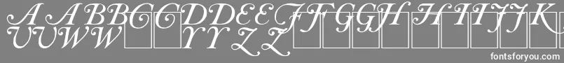 CasInit-Schriftart – Weiße Schriften auf grauem Hintergrund