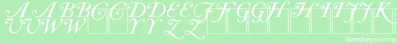 CasInit-Schriftart – Weiße Schriften auf grünem Hintergrund
