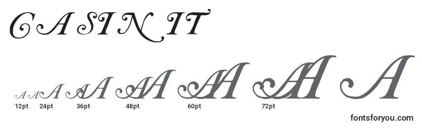 CasInit Font Sizes