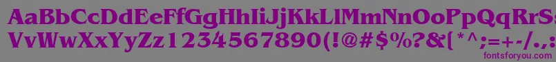 BangkokBold Font – Purple Fonts on Gray Background