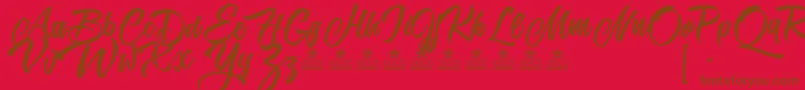 KarmacomaPersonalUse Font – Brown Fonts on Red Background