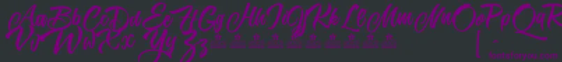 KarmacomaPersonalUse Font – Purple Fonts on Black Background