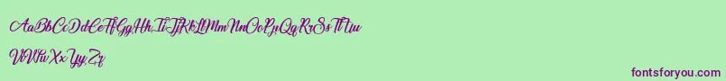 SpecialValentine Font – Purple Fonts on Green Background