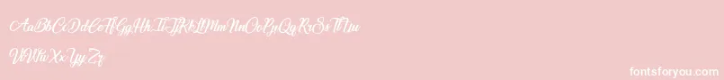 SpecialValentine-Schriftart – Weiße Schriften auf rosa Hintergrund