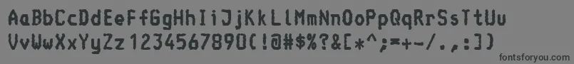 ConsoleBold Font – Black Fonts on Gray Background