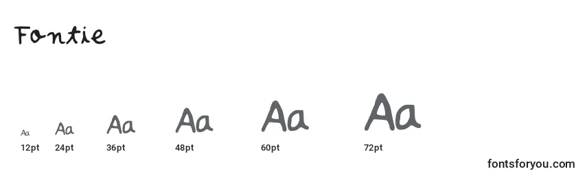 Размеры шрифта Fontie
