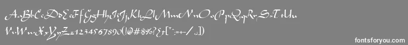 フォントArabianRegular – 灰色の背景に白い文字