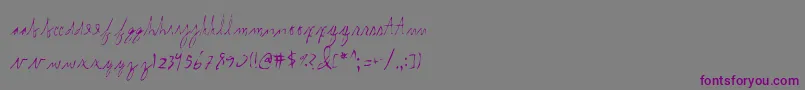 Internal. Font – Purple Fonts on Gray Background