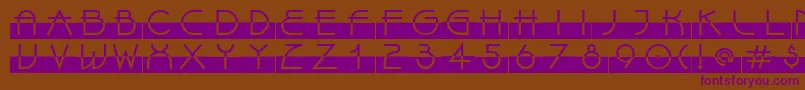 LinotypeBixPlain Font – Purple Fonts on Brown Background