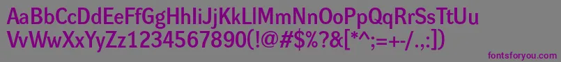 Dynagroteskd Font – Purple Fonts on Gray Background