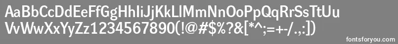 Dynagroteskd Font – White Fonts on Gray Background