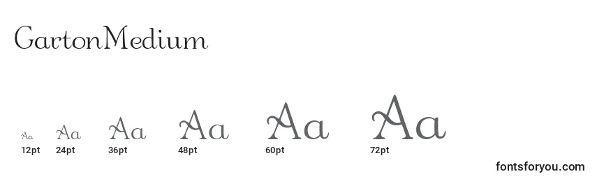 GartonMedium Font Sizes