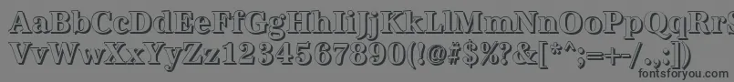 AntiquashCdBold Font – Black Fonts on Gray Background