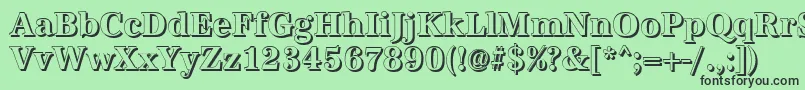 AntiquashCdBold Font – Black Fonts on Green Background